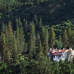 Chateau Du Sureau